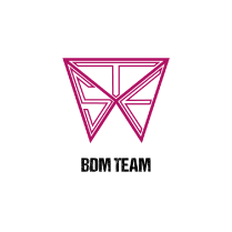 BDMs Team